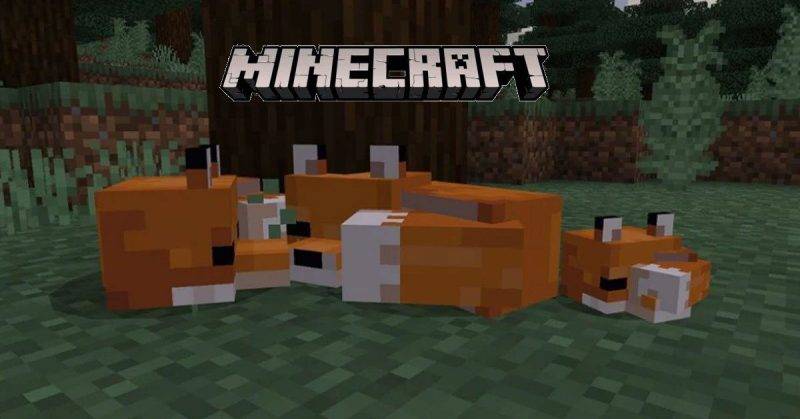 Minecraft Fox Taming Breeding Spawning More