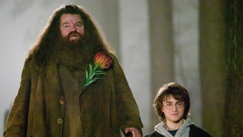 En que casa estaba Hagrid antes de ser expulsado