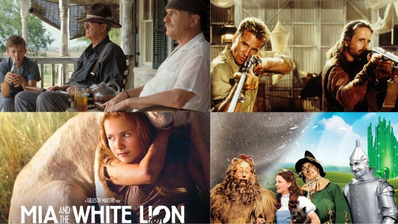 25 Best Lion Movies Why You Should Watch Them