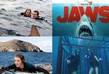 Shark movies Amazon