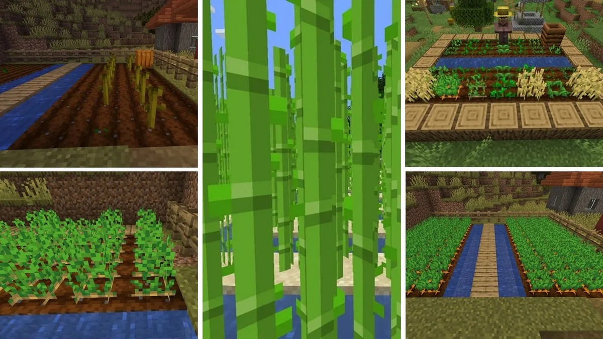 How long do crops take to grow in Minecraft