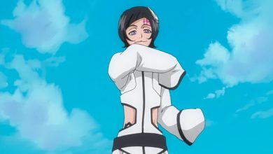 Bleach: Here Is Who (& How) Killed Luppi Antenor!