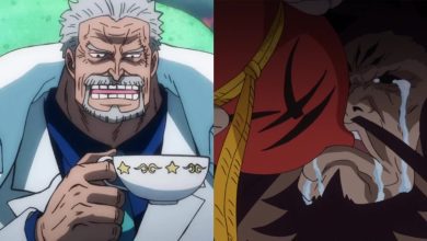 Garp vs. Kaido: Who Is Stronger & Who Would Win?
