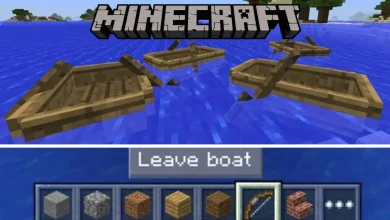 minecraft get out of boat