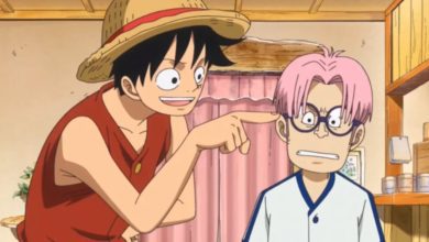 One Piece: Are Luffy and Koby Friends? Relationship Explained!