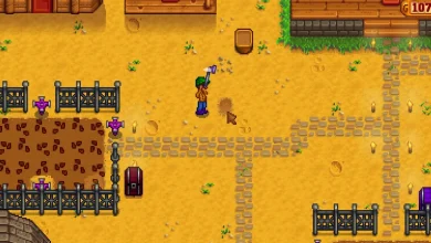 how to cancel animations in Stardew Valley